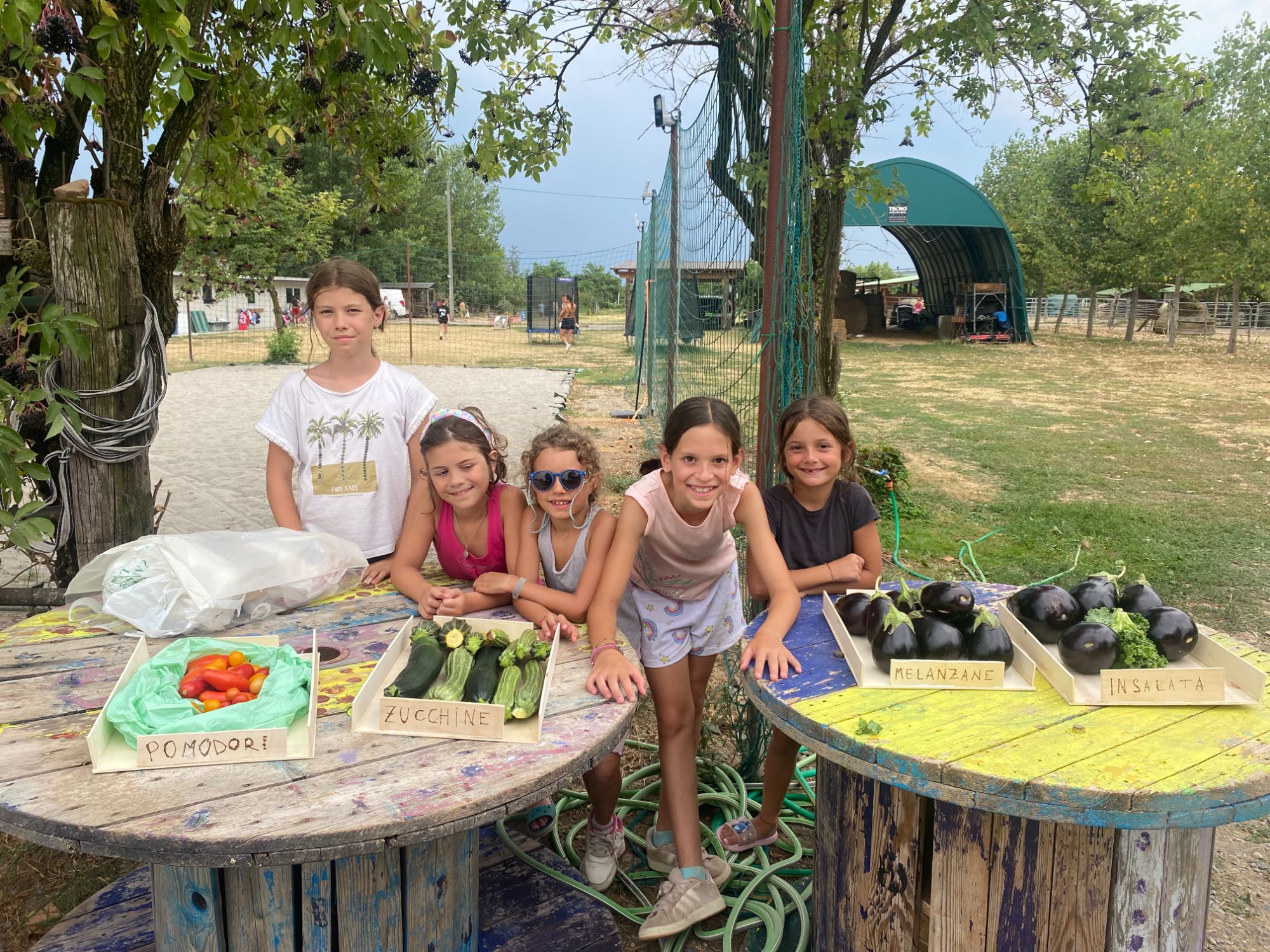 Orto e cucina al centro estivo Alba Summer Camp, Treviglio