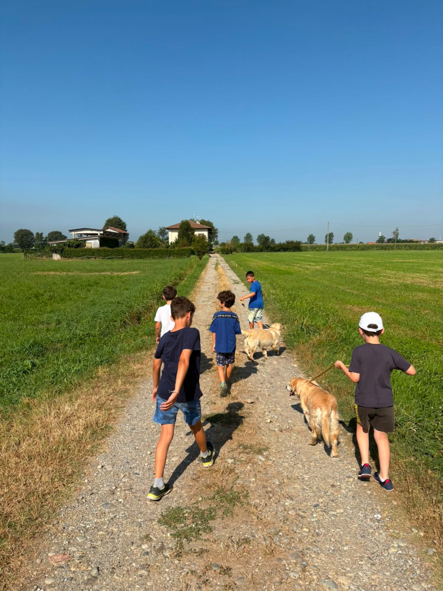 Passeggiate in campagna al centro estivo Alba Summer Camp, Treviglio
